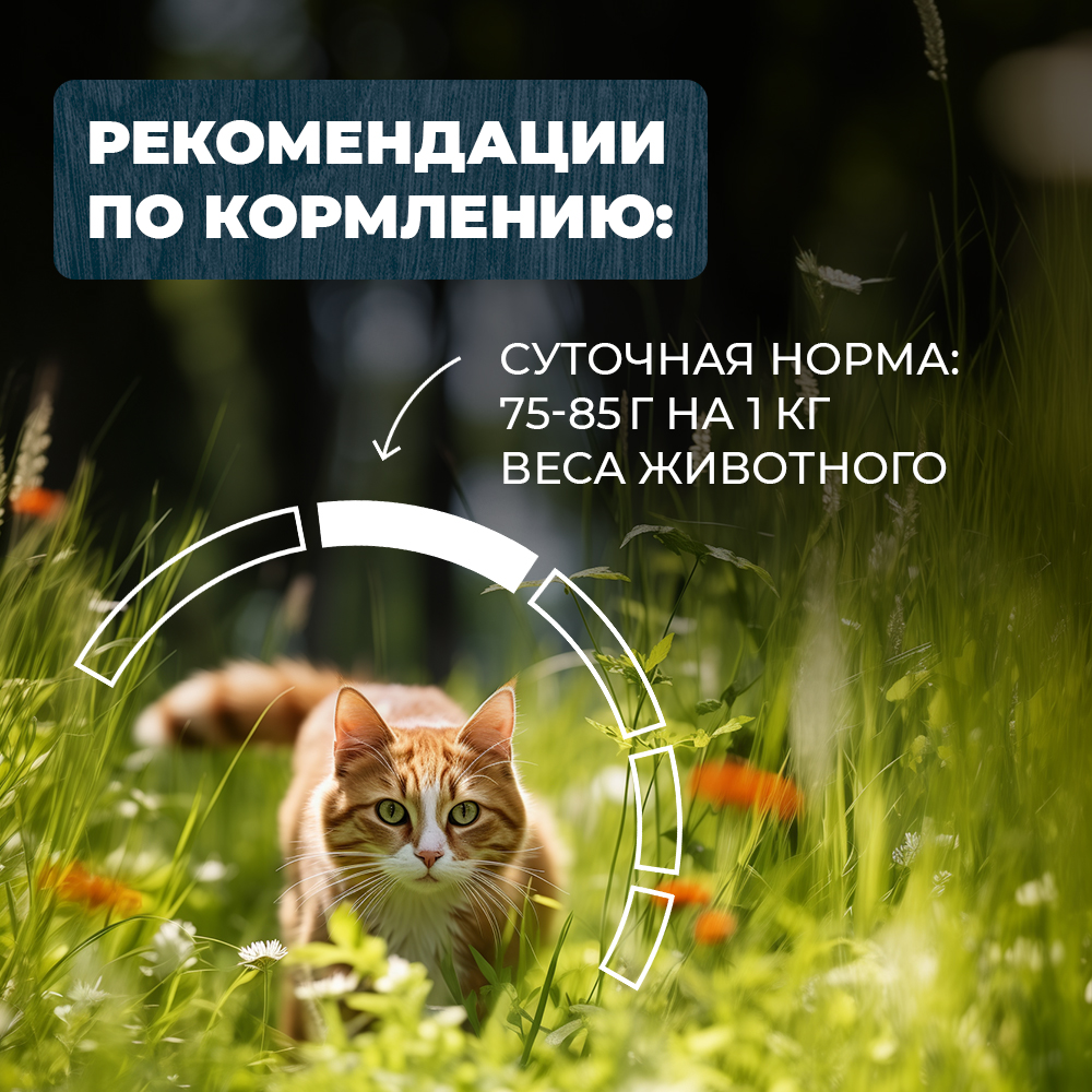 Корм для кошек и котов Родные корма стерилизованных и кастрированных По-липецки с кроликом кусочки в соусе 85г - фото 5