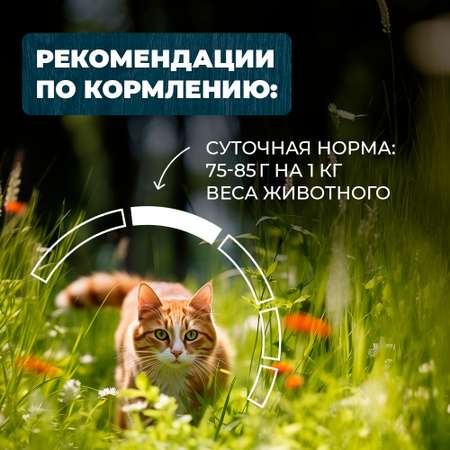 Корм для кошек и котов Родные корма стерилизованных и кастрированных По-липецки с кроликом кусочки в соусе 85г