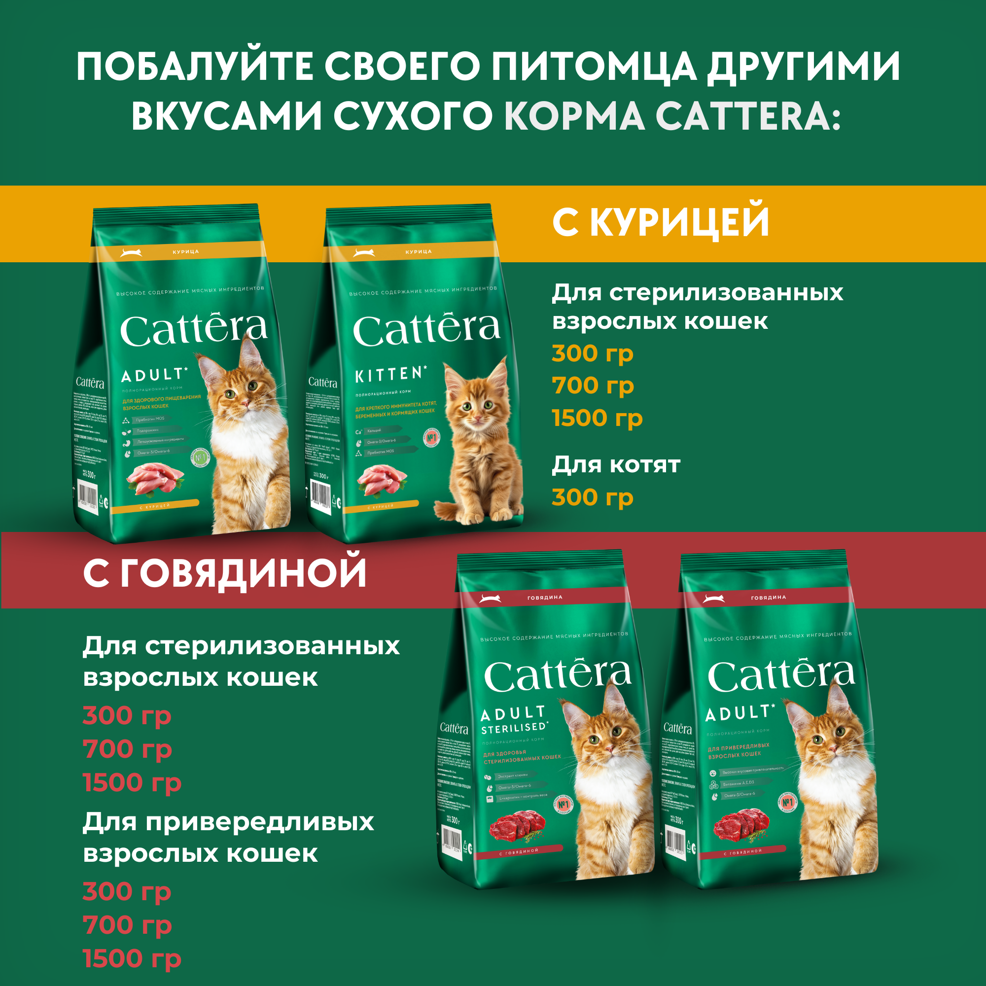 Корм сухой для кошек Cattera полнорационный с говядиной 0,3кг - фото 11