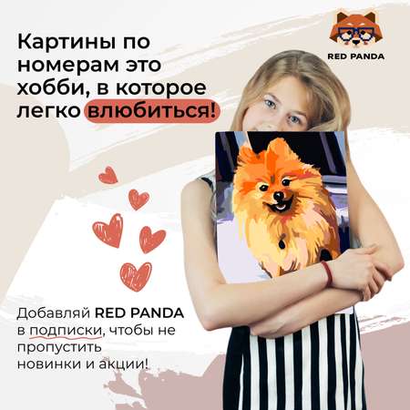 Картина по номерам Red Panda