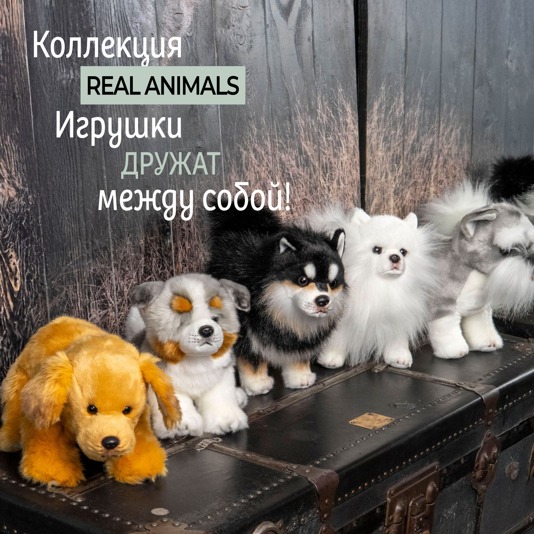 Мягкая игрушка Gulliver собачка Австралийская собака 27 см 27 см - фото 11