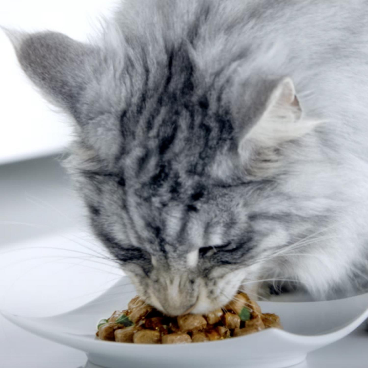 Корм для кошек Purina One домашняя курица-морковь 75г - фото 10