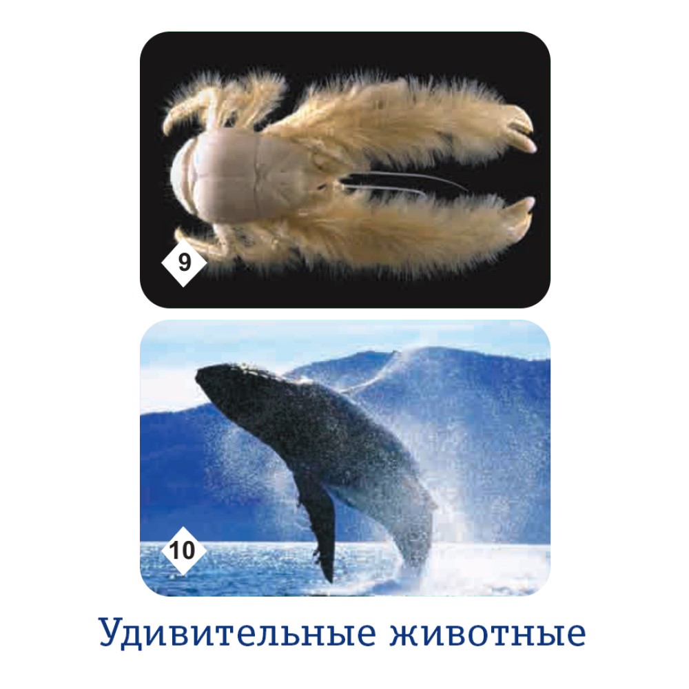 Настольная игра Нескучные игры Мемо - фото 8