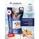Корм для кошек сухой Pronature Holistic Atlantic для кожи и шерсти на лососе с рисом 340г