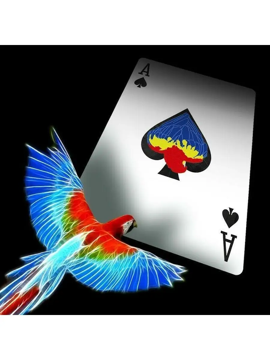 Настольная игра The US Playing Card Company - фото 3