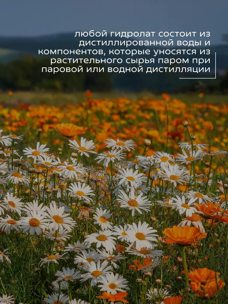 Гидролат Краснополянская косметика 100 мл 2 шт. - фото 4