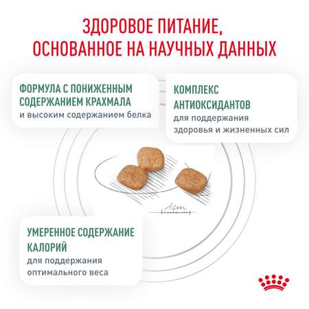 Корм для кошек ROYAL CANIN Diabetic при сахарном диабете 1.5кг