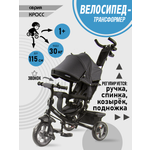 Трехколесный велосипед Velobibi 10 дюймов