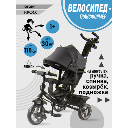 Трехколесный велосипед Velobibi 10 дюймов
