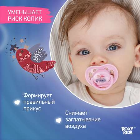 Пустышка ROXY-KIDS силикон от 0 мес. 2 шт.
