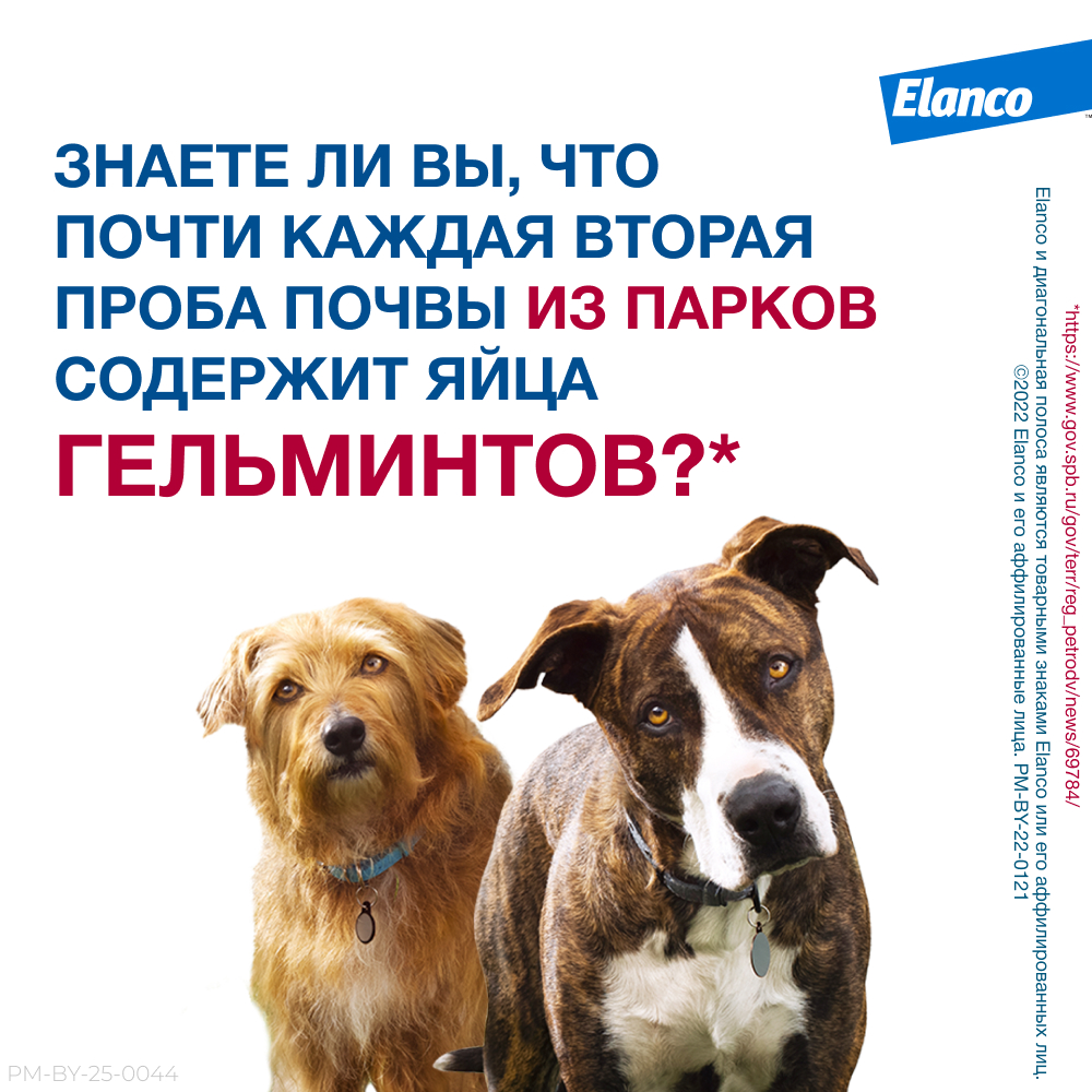 Антигельминтик для щенков и собак Elanco Мильбемакс малых пород 2таблетки - фото 3
