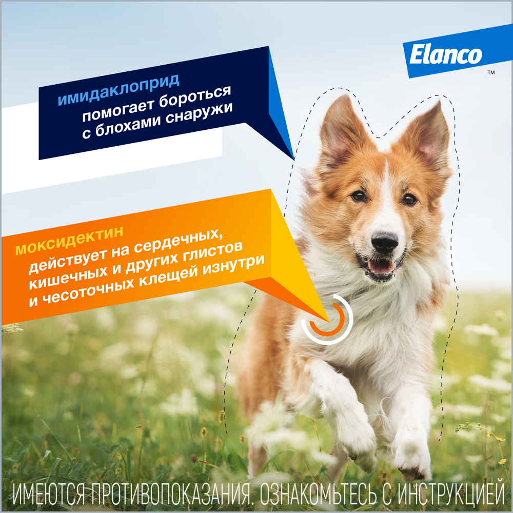 Капли для собак Elanco Адвокат более 25кг антипаразитарные 1пипетка - фото 4