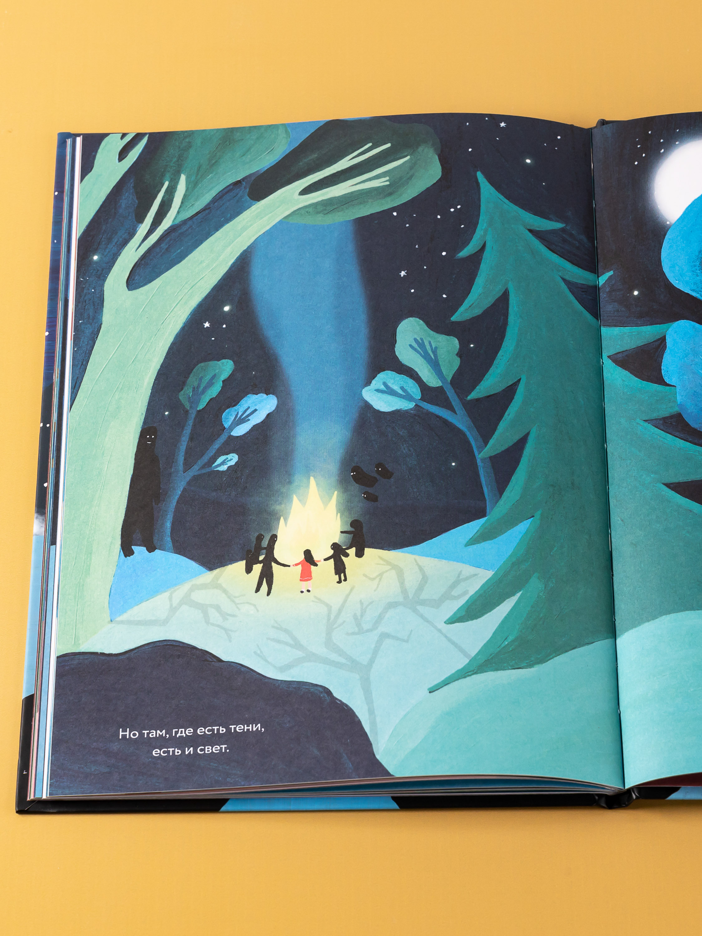 Книга Альпина. Дети Цирк теней - фото 13