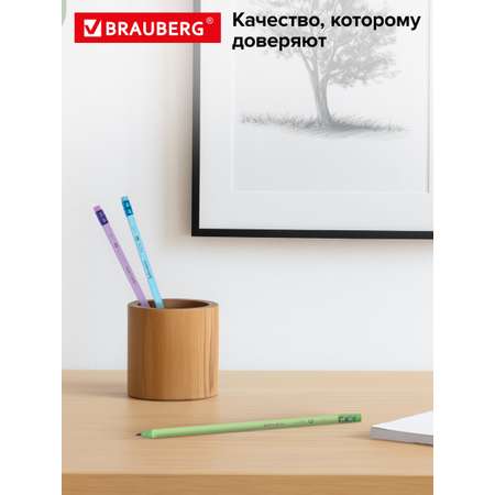 Карандаши чернографитные Brauberg 12 шт.