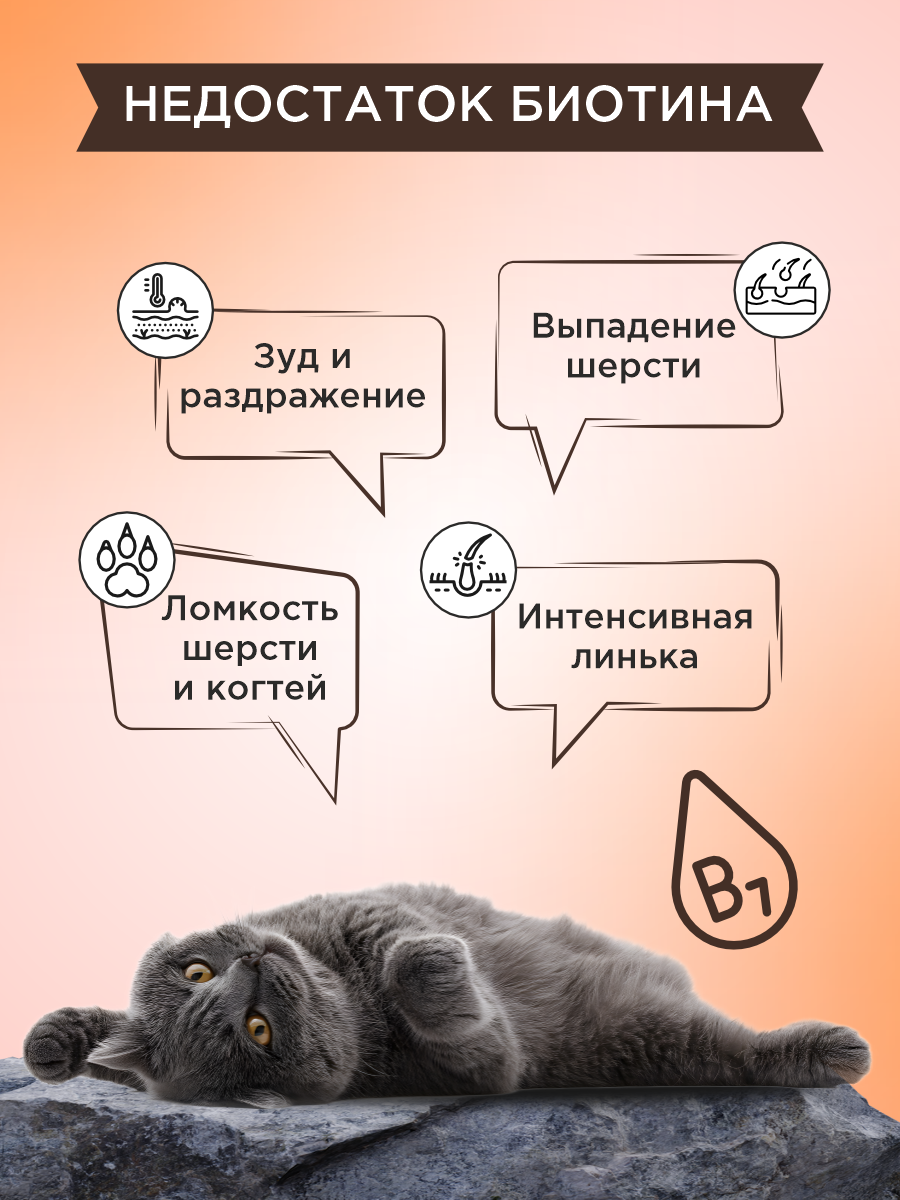 Полезное лакомство для кошек GOODR CAT со вкусом норвежского лосося 90 таблеток - фото 4