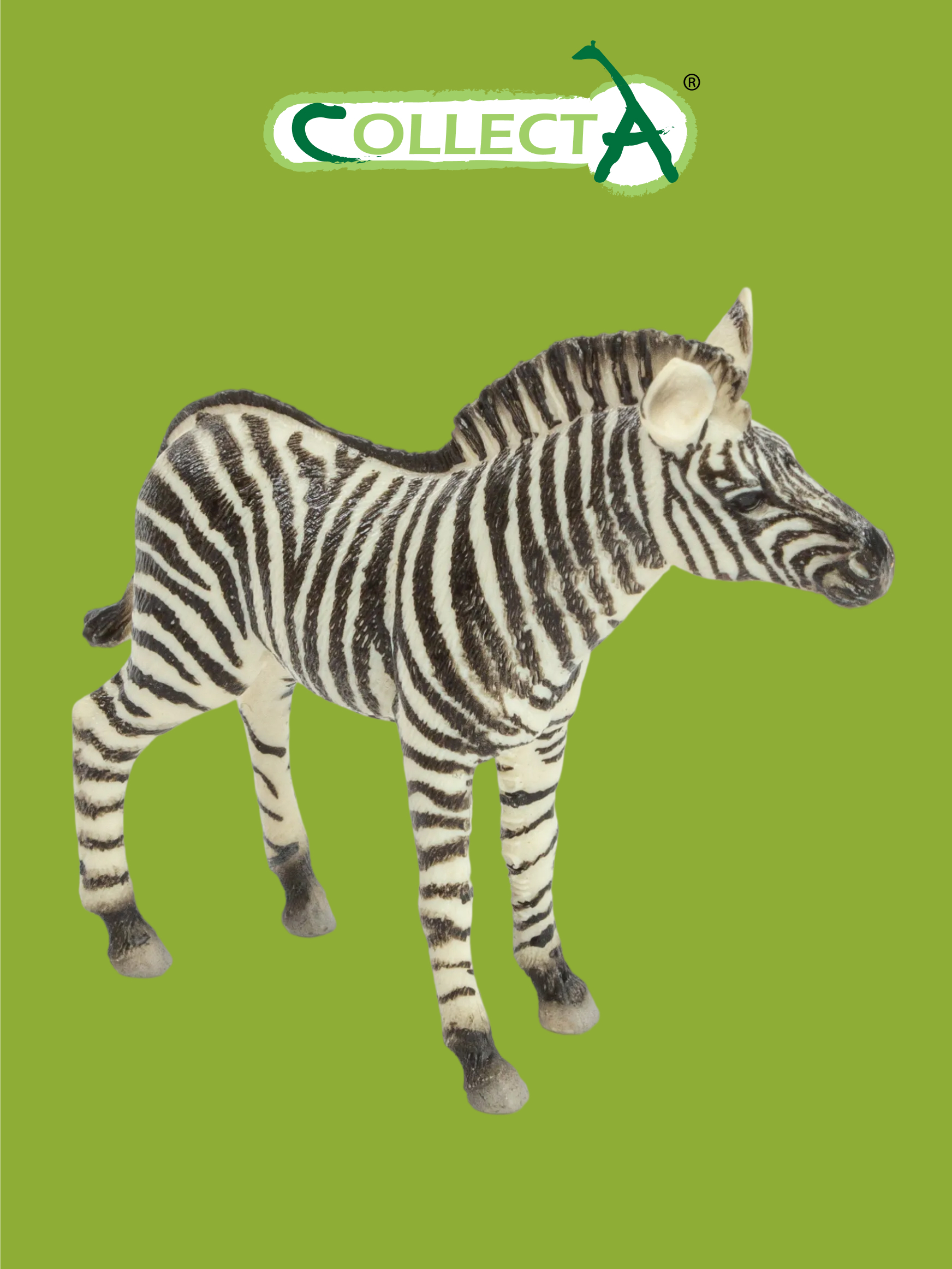 Фигурка Collecta Жеребенок зебры - фото 1