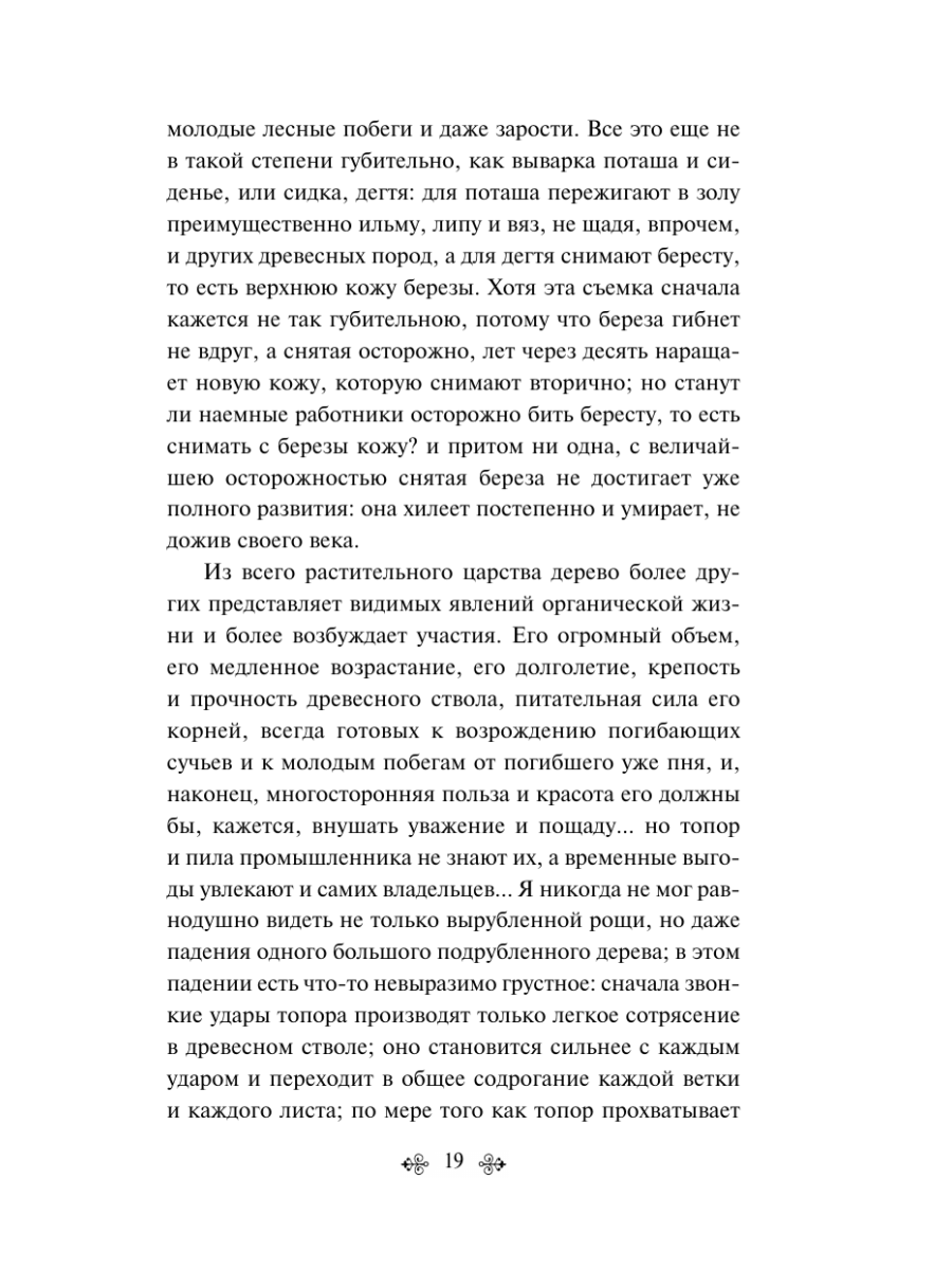 Книга Эксмо Русский лес Рассказы русских писателей - фото 23
