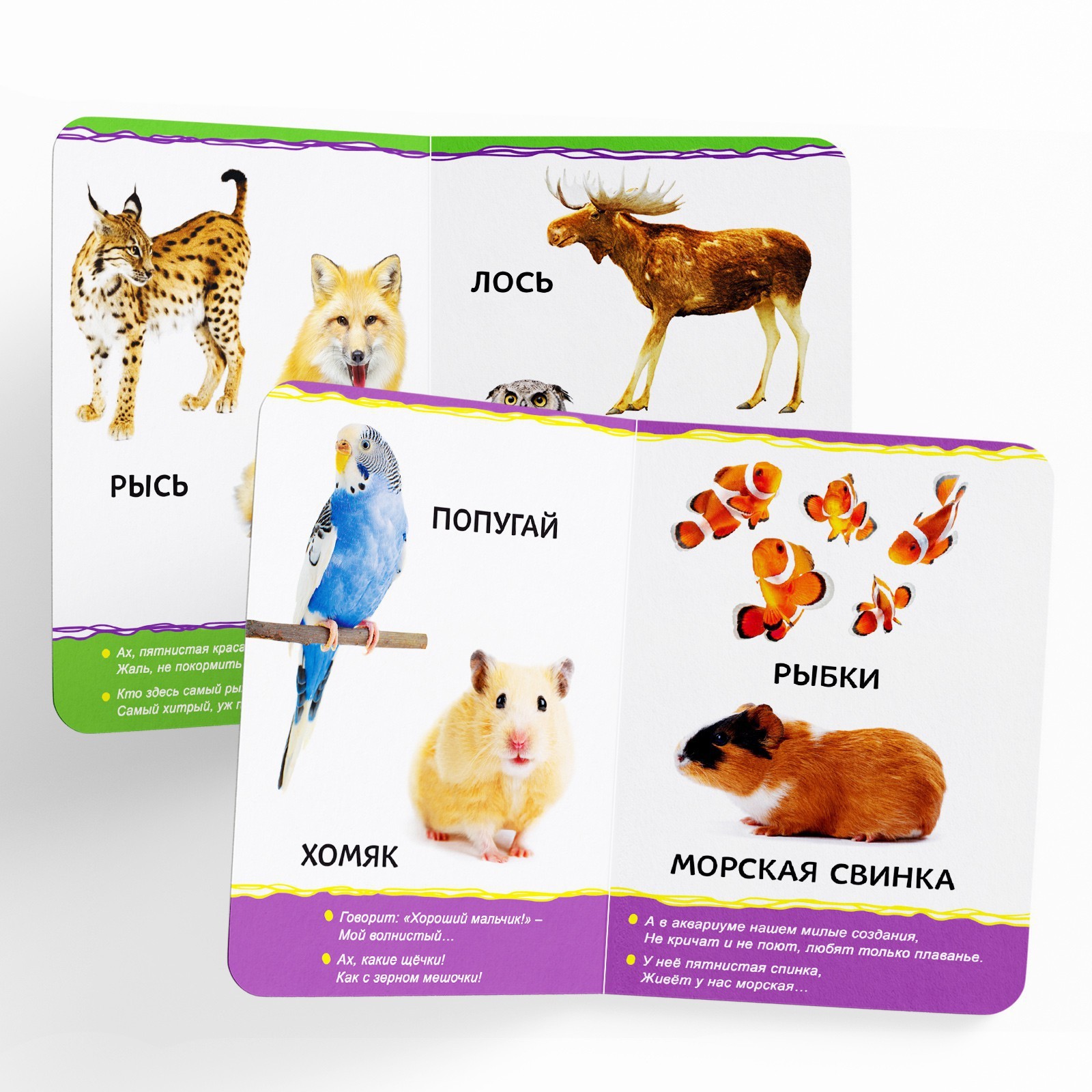 Набор Буква-ленд картонных книг Для малышей №1 4 шт 10 стр - фото 6