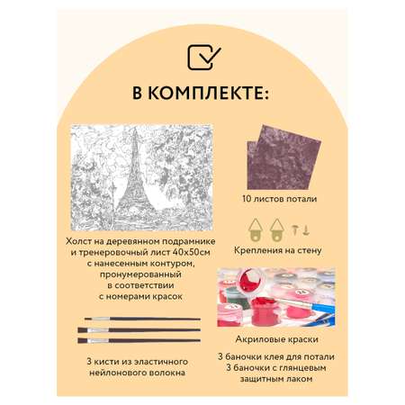 Картина по номерам ТРИ СОВЫ Париж