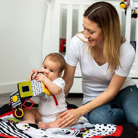 Игрушка Babyono кубики в ассортименте