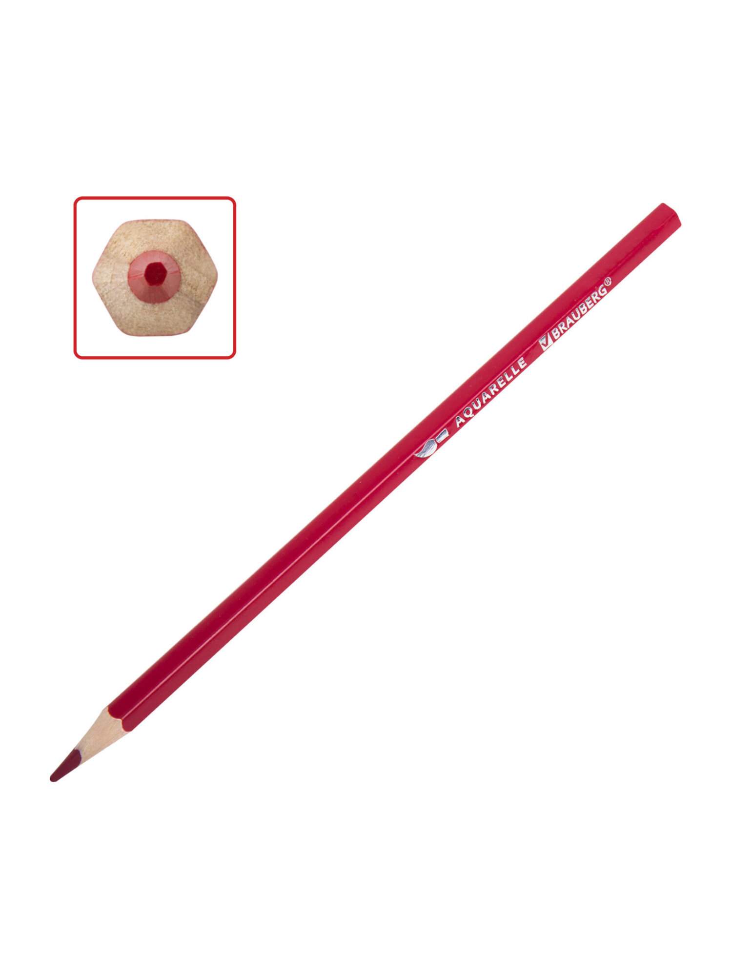 Карандаши акварельные Brauberg 24 шт. - фото 11