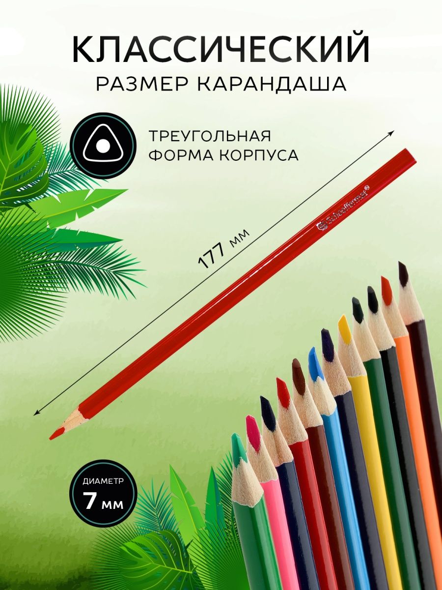 Карандаши цветные SCHOOLFORMAT 20 шт. - фото 4