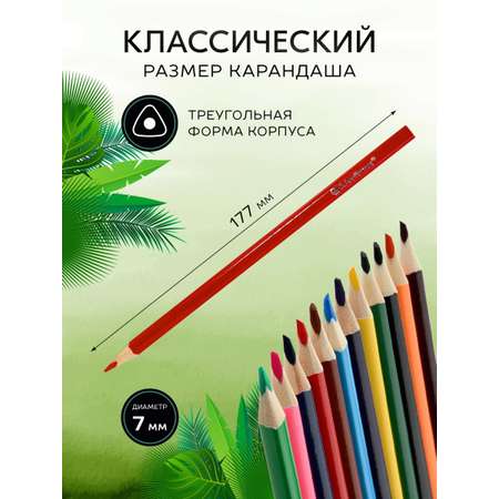 Карандаши цветные SCHOOLFORMAT 20 шт.