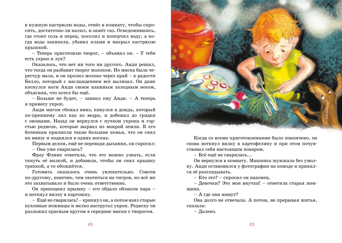 Книга Махаон Бабушка на яблоне. Вождь краснокожих. Комплект из 2-х книг. - фото 7