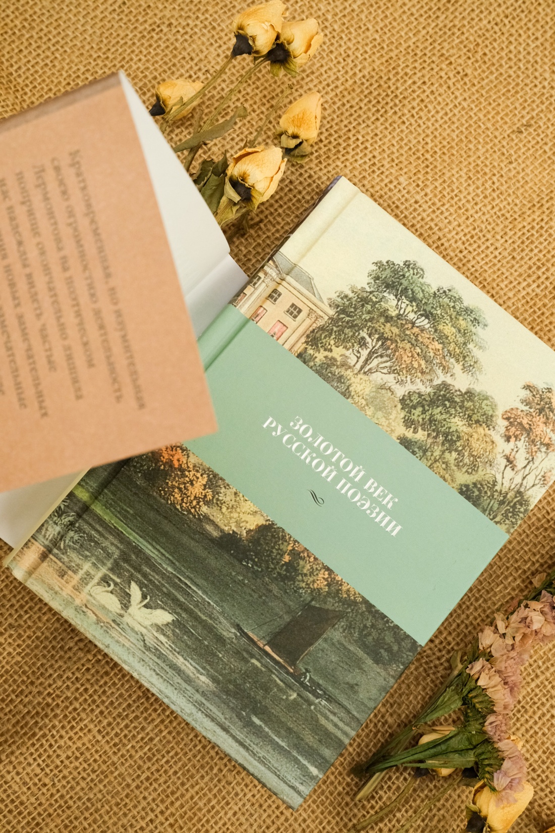 Книга АЗБУКА Азбука-поэзия/Пушкин А., Лермонтов М., Тютчев Ф./Золотой век русской поэзии - фото 12