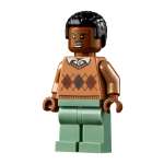 Фигурка LEGO Robbie Robertson sh0716