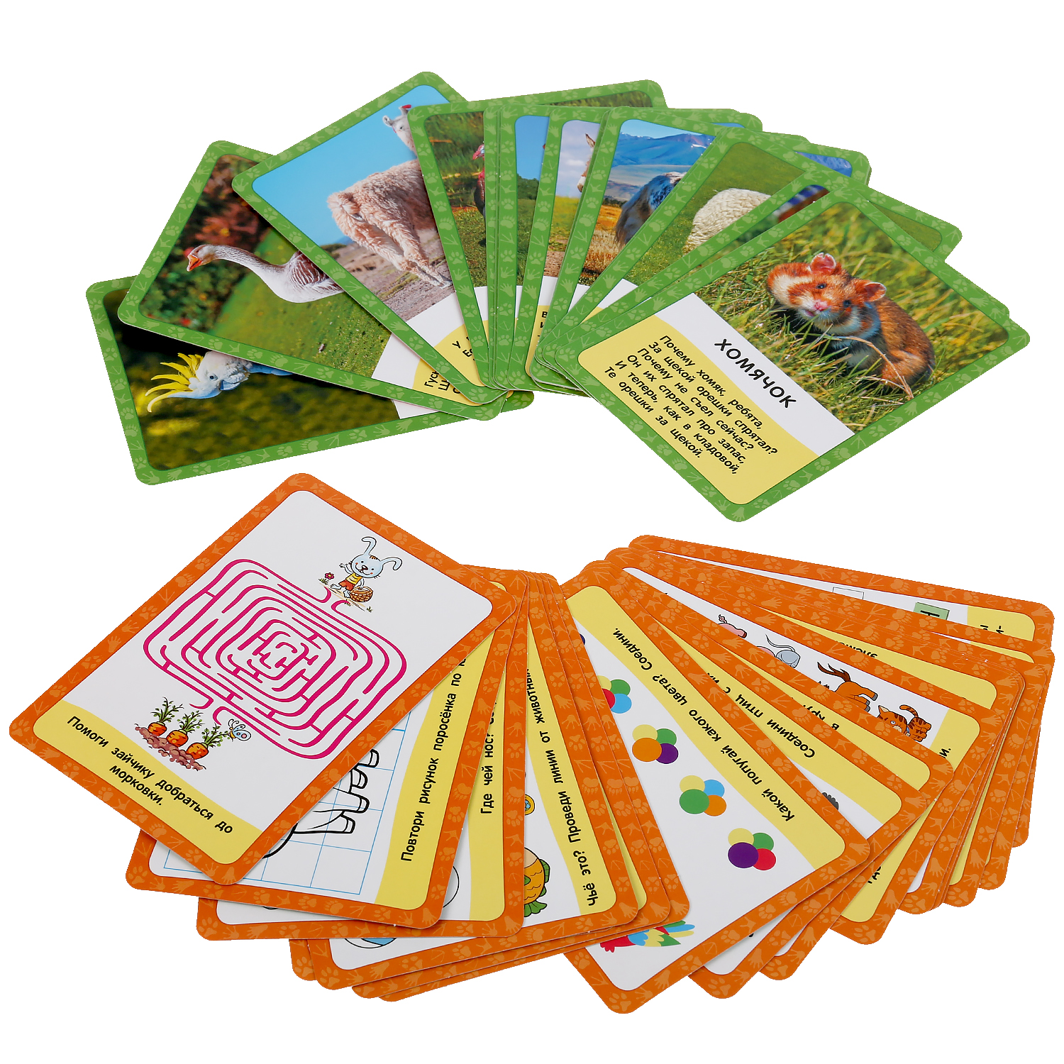 Настольная игра Умные игры Карточки Домашние животные - фото 3