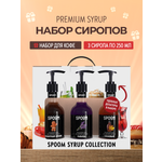 Набор сиропов SPOOM Имбирный пряник Лаванда Кленовый для кофе 3шт 250мл + 3 дозатора