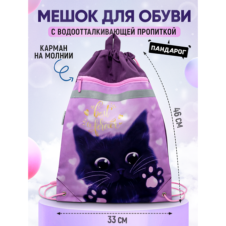 Мешок для обуви ПАНДАРОГ