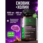 Ежовик гребенчатый с холином ноотропы Green Leaf Formula витаминный комплекс для мозга памяти концентрации внимания