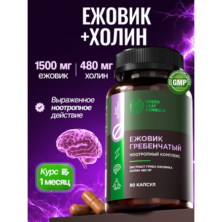 Ежовик гребенчатый с холином ноотропы Green Leaf Formula витаминный комплекс для мозга памяти концентрации внимания