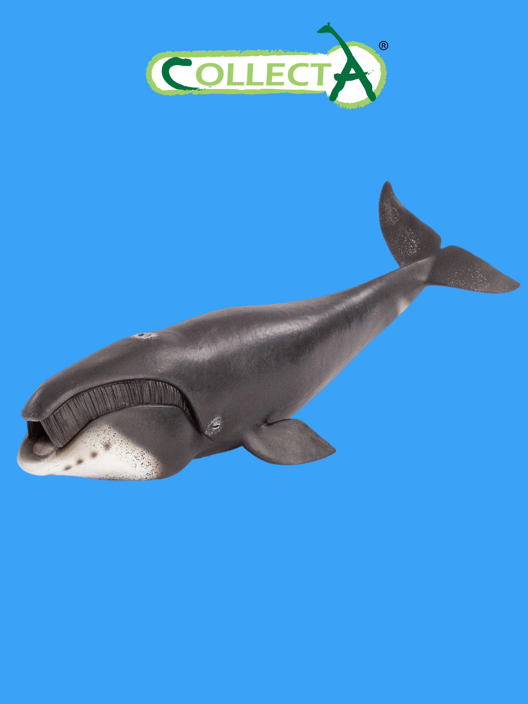 Фигурка Collecta Гренландский Кит - фото 1