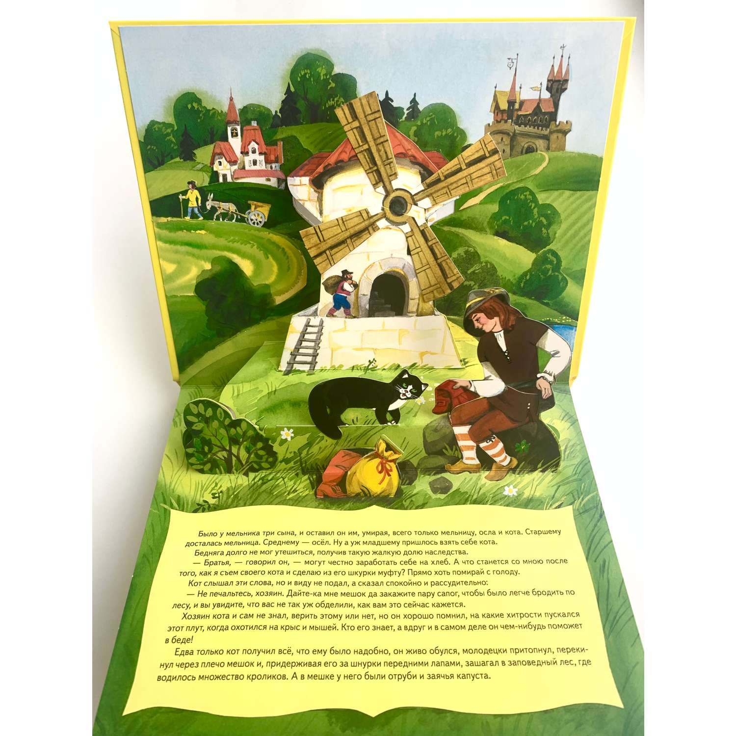 Книга панорамка Дюймовочка - фото 6