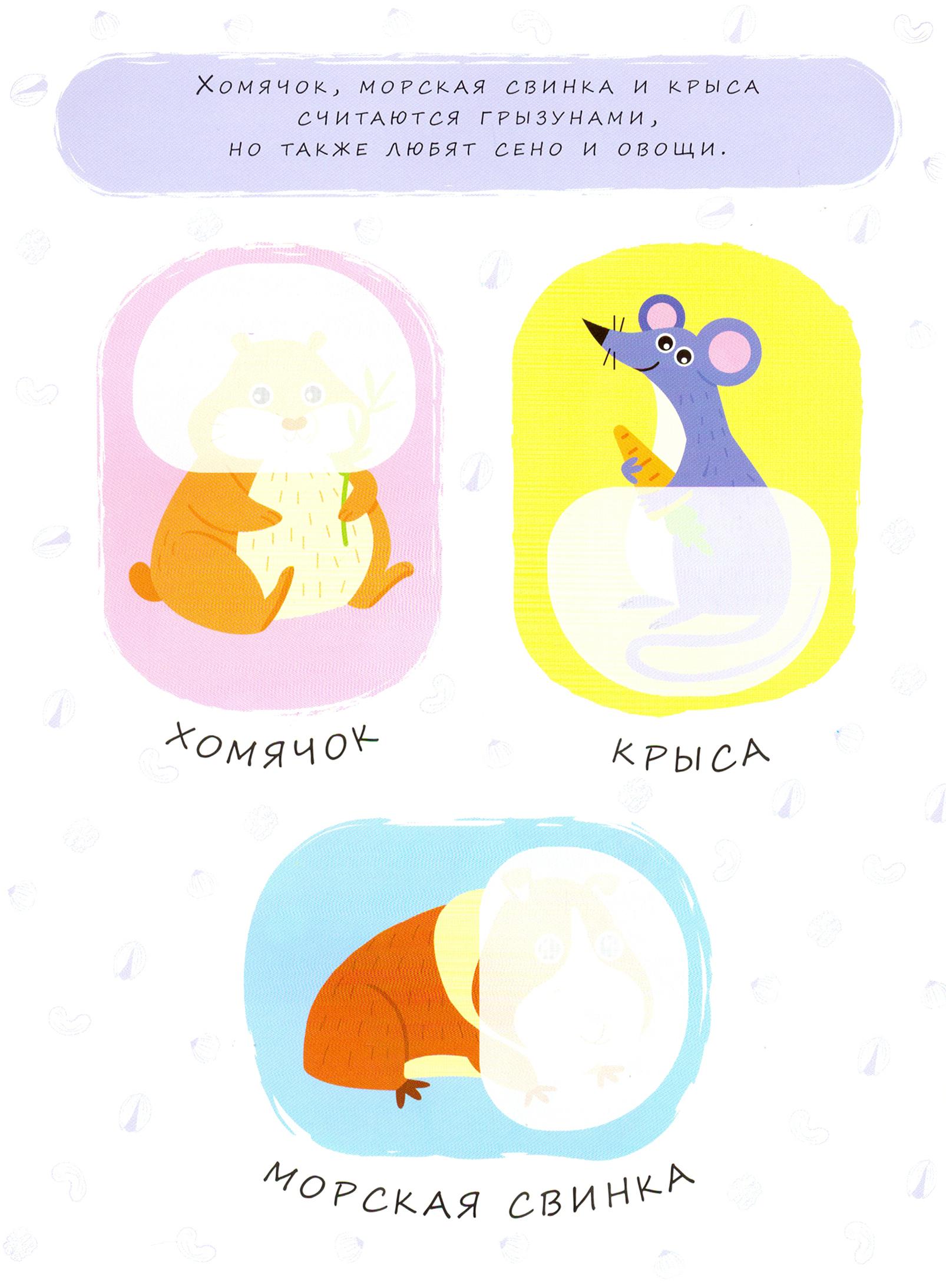 Домашние питомцы - фото 6