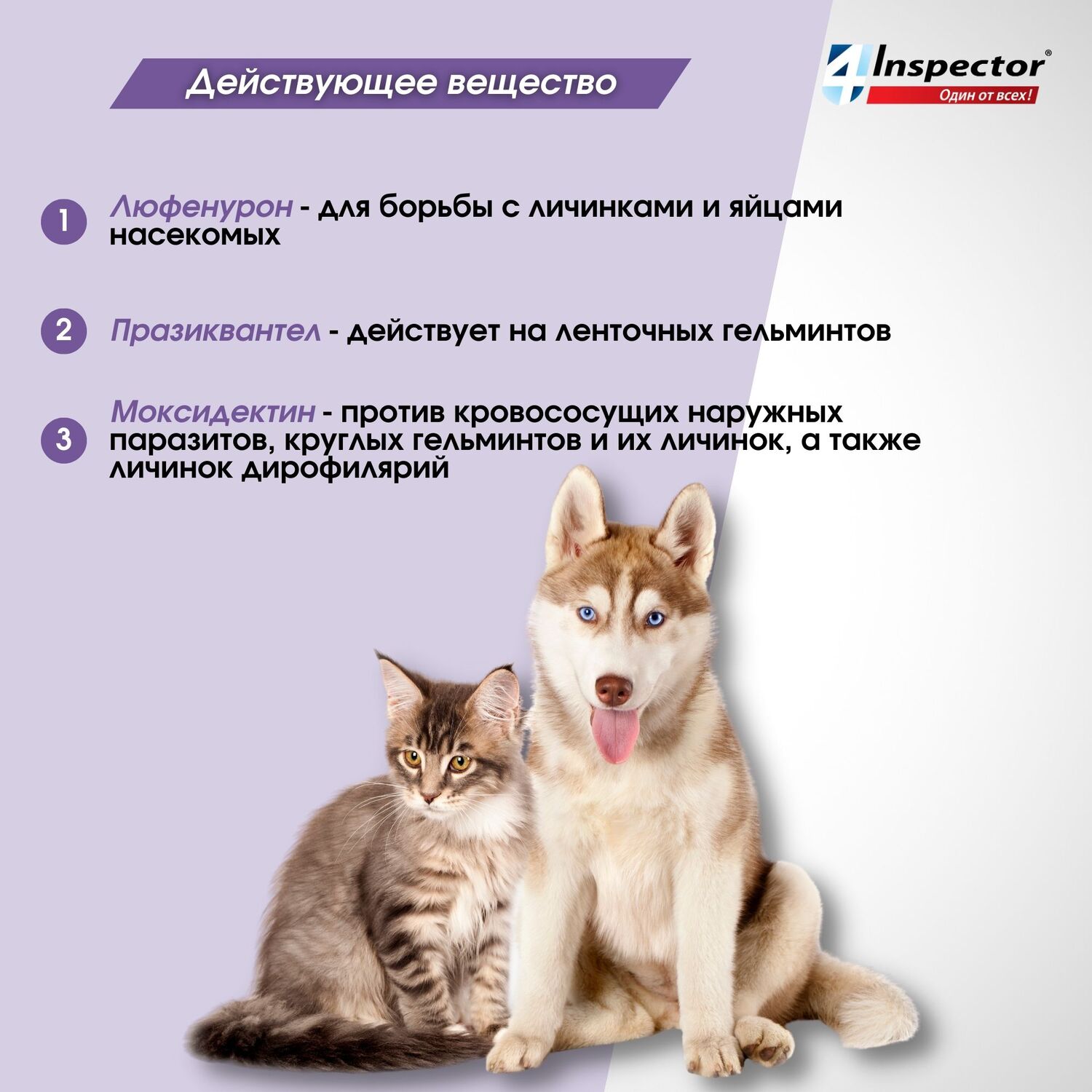 Таблетки от клещей блох и глистов для кошек и собак Inspector Quadro Tabs 8-16кг - фото 5