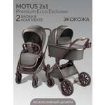 Коляска 2в1 Amarobaby Motus Premium Ecco Exclusive серый