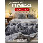 Плед LOVEBERRY Британцы велсофт 200 x 220 см