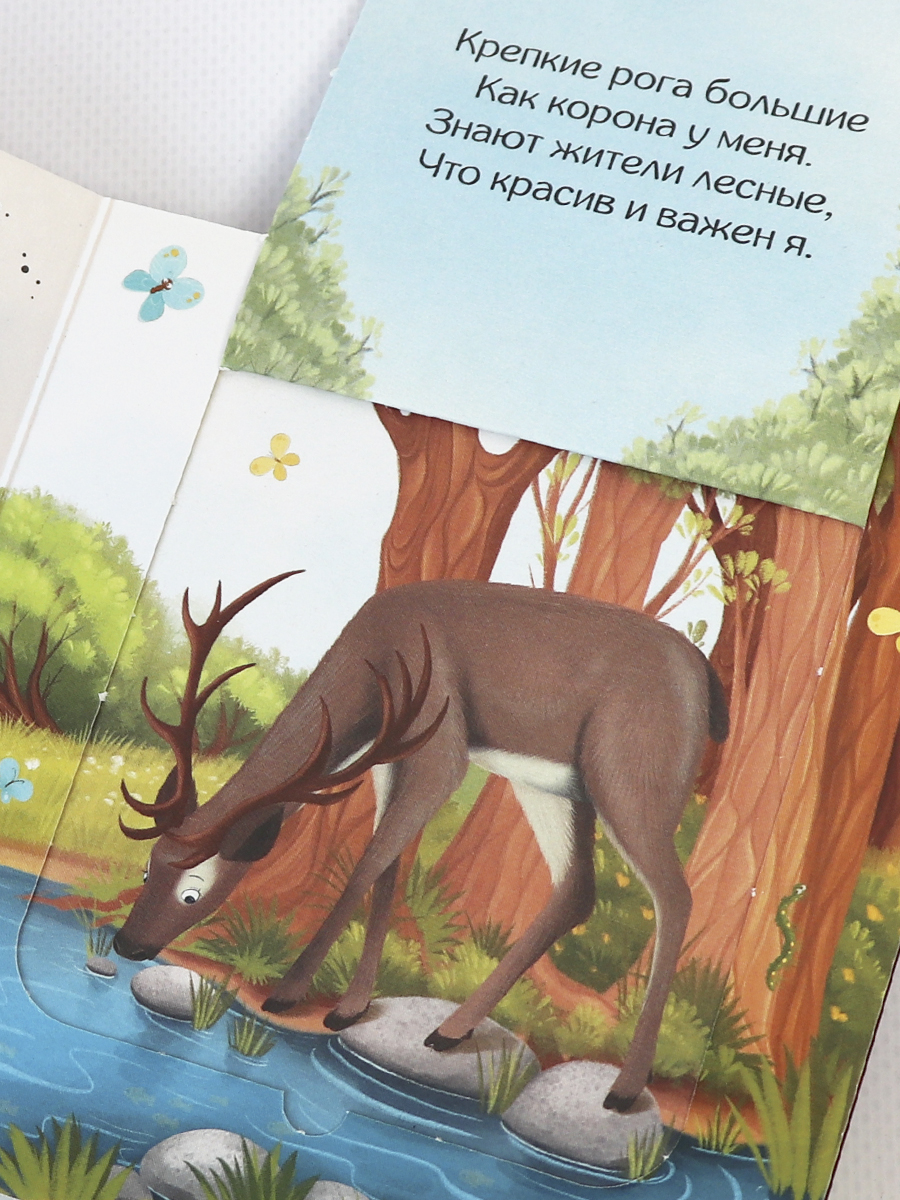 Книга с окошками детские Malamalama Стихи для малышей из серии Прятки для самых маленьких - фото 8