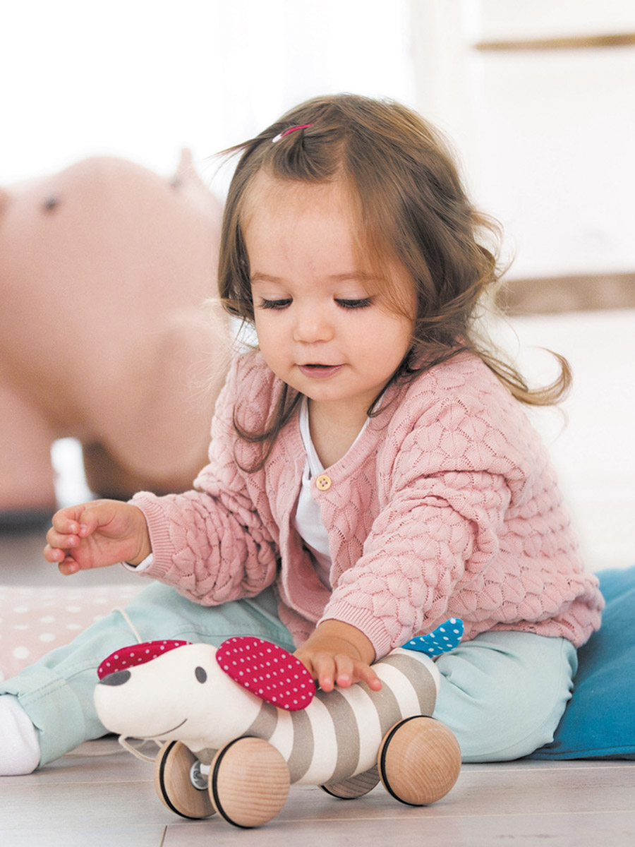 Игрушка Hape каталка - фото 2