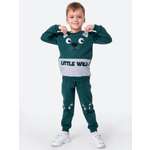 Свитшот и брюки HappyFox