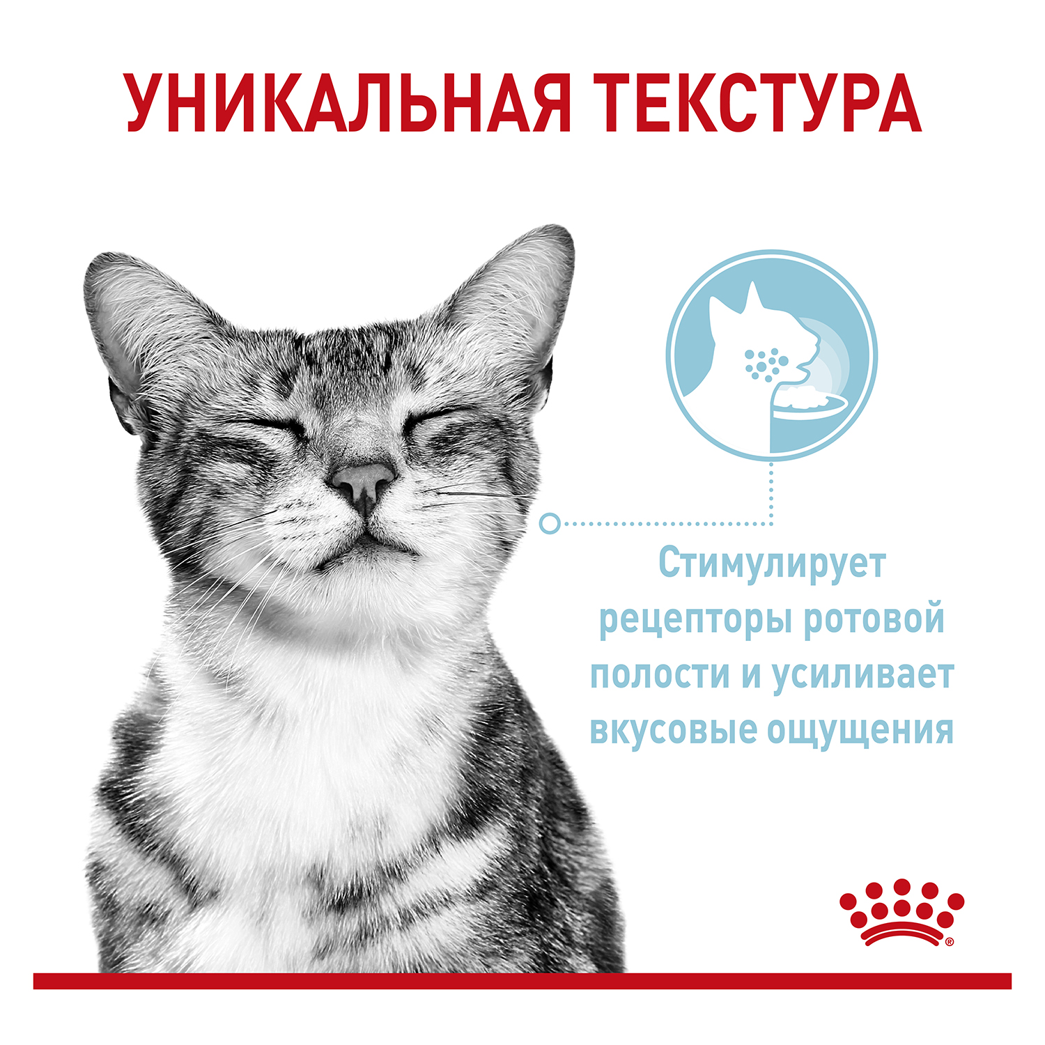Корм для кошек ROYAL CANIN Сенсори ощущения фелин соус 85г - фото 6