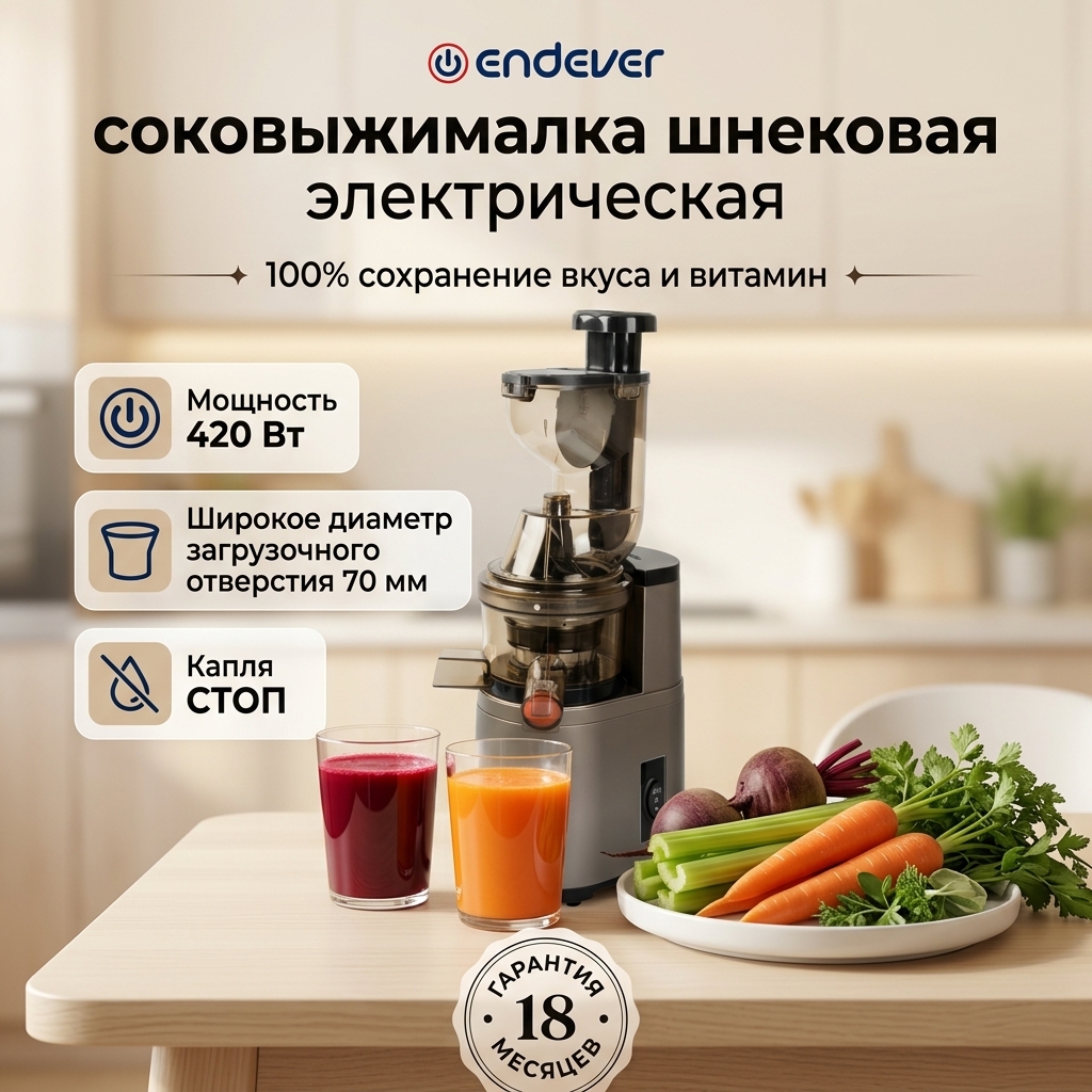 Шнековая соковыжималка ENDEVER Sigma 101 - фото 1
