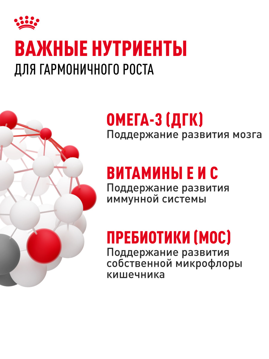 Корм для щенков влажный ROYAL CANIN Maxi Puppy для крупных пород в возрасте до 15 месяцев соус 100г - фото 5