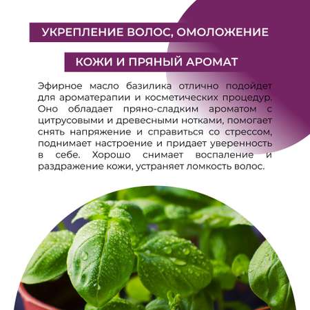 Масло Siberina