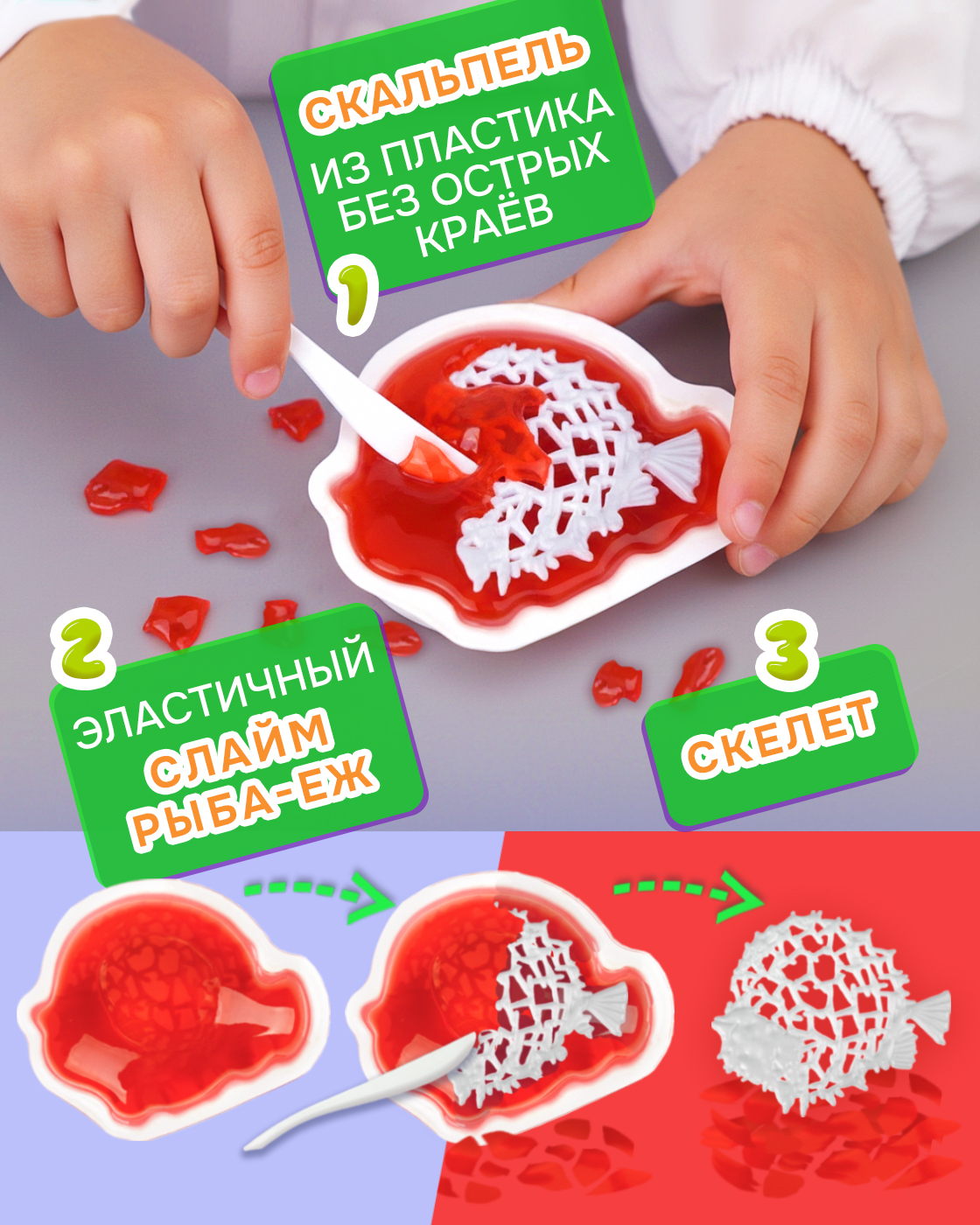 Набор для опытов 1TOY - фото 2