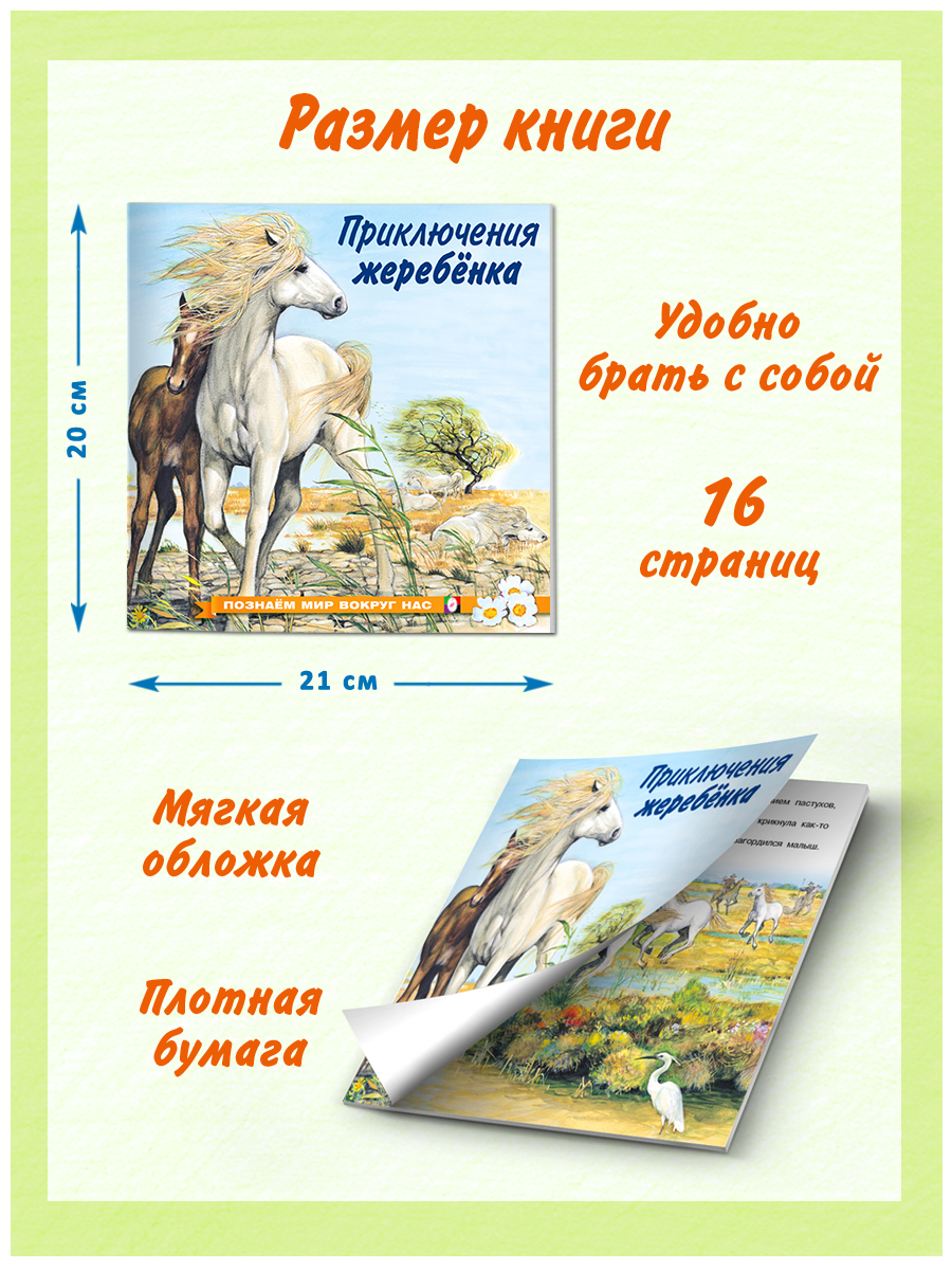 Комплект книг Фламинго Сказки для детей Рассказы о животных Приключения Котенка Волчонка Зайчонка Жеребенка - фото 10